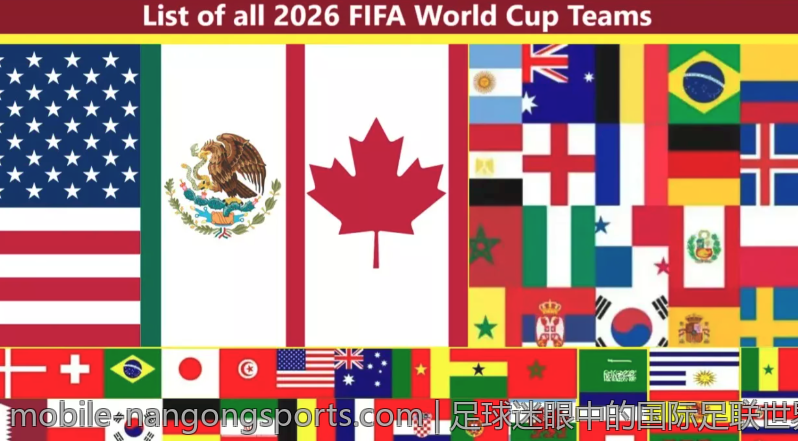 足球迷眼中的国际足联世界杯文化